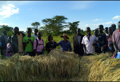 南南合作助力乌干达减贫与发展——中国—联合国粮农组织—乌干达南南合作项目