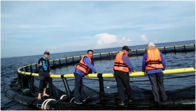 助推文莱—广西经济走廊建设——海世通文莱渔业项目