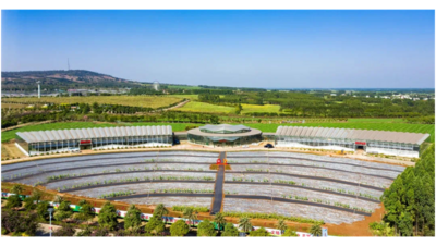 金融活水助力企业乘风破浪“走出去”——金融机构支持企业开展国际合作