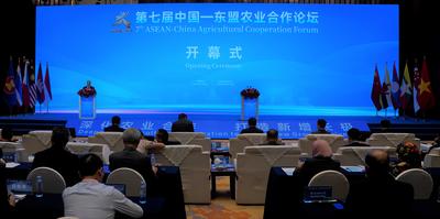 深耕农业合作 中国和东盟合力打造发展新增长极