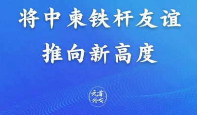元首外交｜将中柬铁杆友谊推向新高度