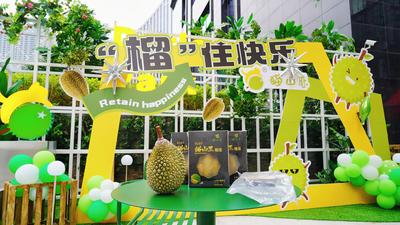 10年了，从一颗榴莲说起……