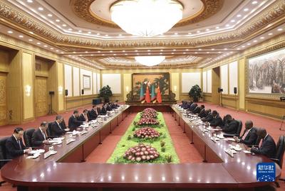 习近平同赞比亚总统希奇莱马会谈