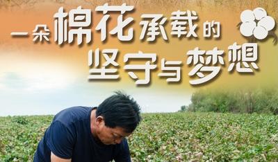 一带一路·零距离 ｜ 一朵棉花承载的坚守与梦想