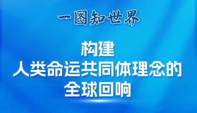 一图知世界 | 构建人类命运共同体理念的全球回响