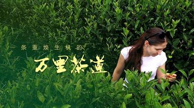 一带一路·零距离｜一条重焕生机的万里茶道