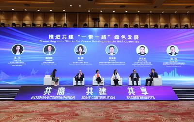 渣打中国副行长鲁静：高效对接国际绿色标准，加速落地绿色“一带一路”项目