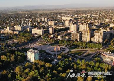 中吉携手共培枝繁叶茂的友谊之树