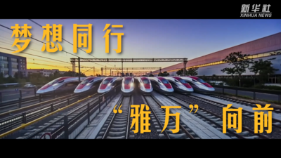 纪录片丨梦想同行 “雅万”向前！