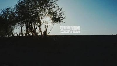 “安心挺你”一路生花 康师傅包装饮用水与青少年共同发光一起闪亮