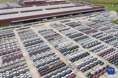 “一带一路”十周年丨产业园合作：助推高质量发展