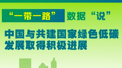 “一带一路”数据“说”｜中国与共建国家绿色低碳发展取得积极进展