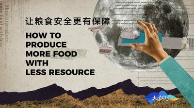 “一带一路”·大道同行｜② 让粮食安全更有保障