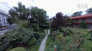 “一带一路”·“洋记者”的十个没想到 | 他们竟然来中国学习这些“冷门专业”