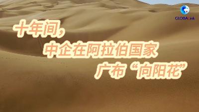 十年间，中企在阿拉伯国家广布“向阳花”
