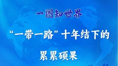 一图知世界 | “一带一路”十年结下的累累硕果