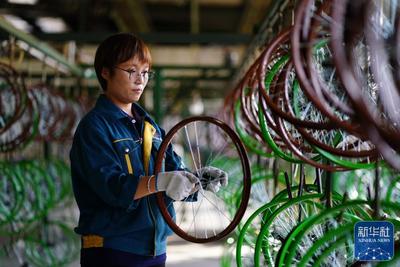 中国制造“出海”记丨河北平乡：小童车骑行“一带一路”大市场