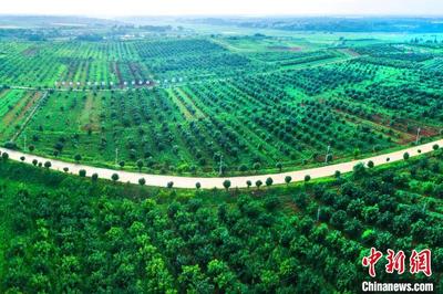 数智赋能“中国药都”江西樟树医药产业升级