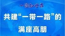 一图知世界 | 共建“一带一路”的满座高朋