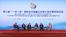 Experts share views on prospects of digital economy cooperation at high-level forum of BRF2023