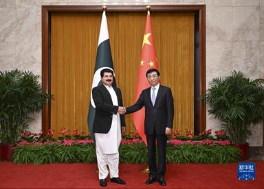 王沪宁会见巴基斯坦参议院主席桑吉拉尼