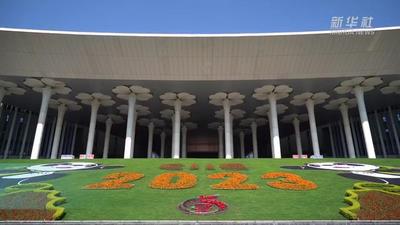 搭建布展“加速跑” 第六届进博会首批展品进馆