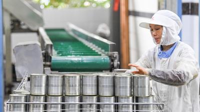 重庆企业组团出海加强与墨西哥经贸往来