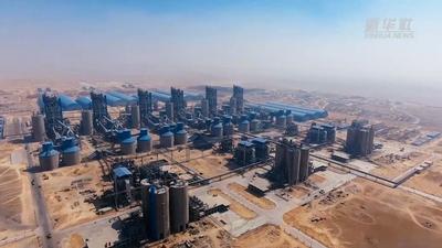 沙地“绿洲”见证“一带一路”参与企业建设成果