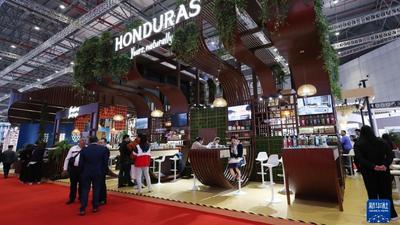 新华全媒+｜探访第六届进博会主宾国展台