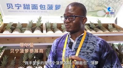 全球连线丨从阿拉达到“四叶草”——首批贝宁新鲜菠萝亮相进博会