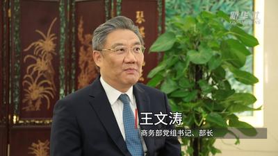进一步恢复和扩大消费 全力稳住外贸外资基本盘——访商务部党组书记、部长王文涛