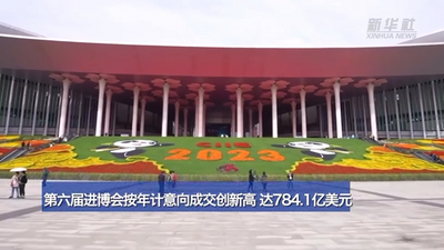 784.1亿美元！第六届进博会按年计意向成交创新高
