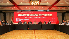 “红厅论坛：中国与非洲国家现代化道路”开罗对话会成功举办