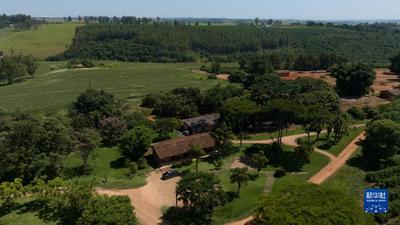 通讯：巴西中小精品咖啡企业期望叩开中国市场