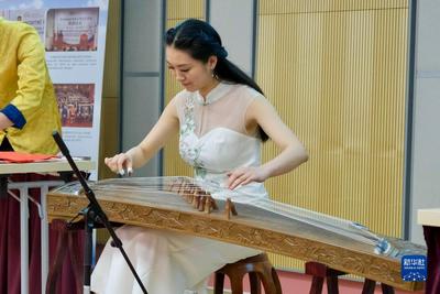 布拉格金融管理大学孔子学院庆祝成立5周年