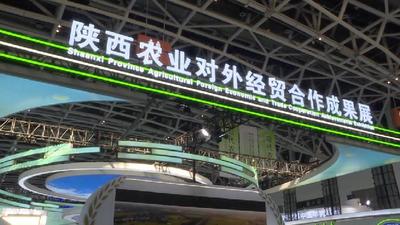 新华全媒+｜第七届丝博会展现共建“一带一路”农业领域合作成果