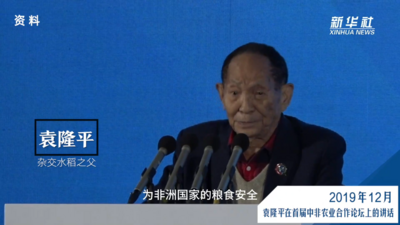 杂交水稻技术助力解决非洲粮食安全问题