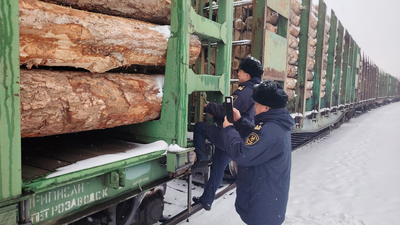 今年前10个月，黑龙江省进出口总值同比增长14.5%