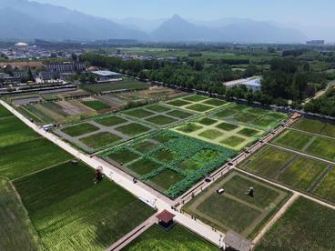 西安高新区全方位乡村建设：村村有特色处处皆品质