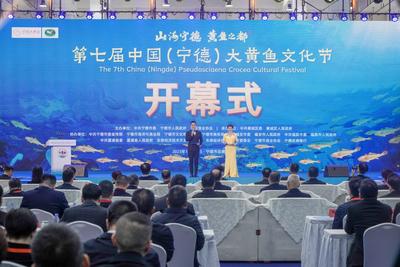 第七届中国（宁德）大黄鱼文化节开幕 冠名高铁首发