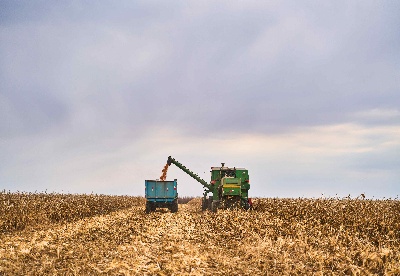 俄农业部长说今年粮食收成已超过1.51亿吨
