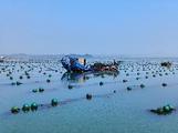 Rongcheng, E. China's Shandong Province pursues green marine development