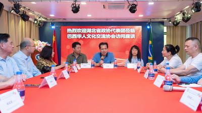 湖北省政协经济委员会代表团与巴西文协举行座谈会