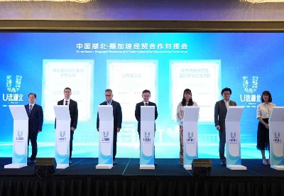 中国湖北-新加坡经贸合作对接会在新加坡成功举办