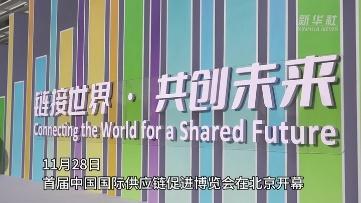 链博会来了 供应链上中下游齐聚展会