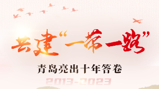【一图读懂】共建“一带一路”青岛亮十年答卷