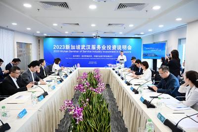 2023新加坡武汉服务业投资说明会在新加坡举行