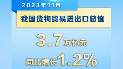 新华社权威快报丨11月我国外贸进出口同比增长1.2%