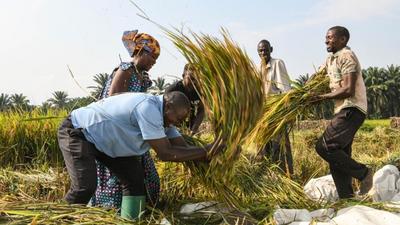 新华时评：共建“一带一路”为全球人权治理提供新动力