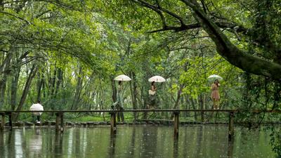 中国扩大免签政策给相关国家民众带来实在便利